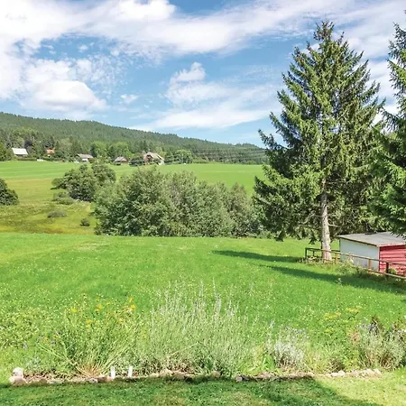 Gorgeous In Lenzkirch-saig With Kitchen Apartment