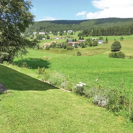 Apartment Gorgeous In Lenzkirch-saig With Kitchen