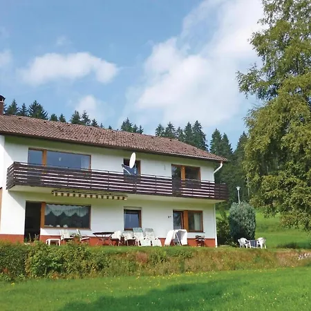 Apartment Gorgeous In Lenzkirch-saig With Kitchen